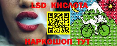 гидропоника Тверь