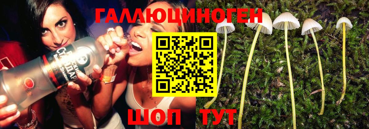 купить наркоту  Вход с VPN  Белебей  Галлюциногенные грибы прущие грибы  Псилоцибиновые грибы Psilocybe 
